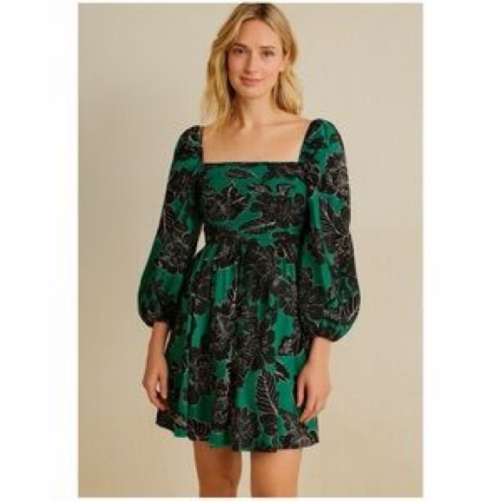 Caroline Constas dress